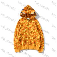 A1