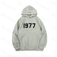 A13